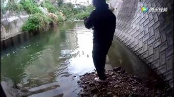 阿哈水库爆料视频播放大全,揭秘水库背后的惊人真相  第2张