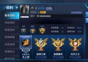 王者最新皮服爆料消息,全新皮服爆料，神秘英雄华丽登场！  第2张